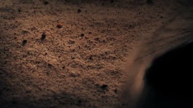 Horus 'un Mısır Gözü Arkeolog Tarafından Ortaya Çıkarıldı