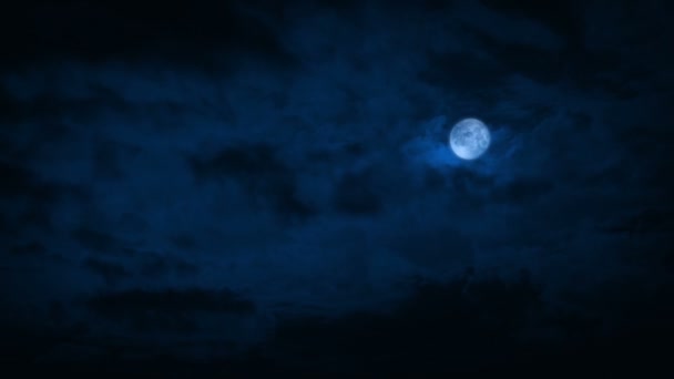 Uderzenia Pioruna Nocnym Niebie Pełnią Księżyca — Wideo stockowe