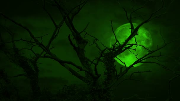 Scary Green Moon Tree Halloween Scene — Stock video