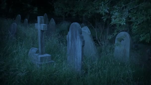 Windiger Friedhof Abend — Stockvideo