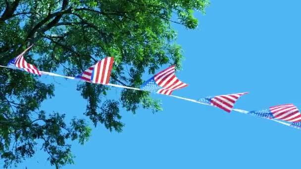 Αμερικάνικες Σημαίες Και Δέντρο Μπλε Ουρανό — Αρχείο Βίντεο