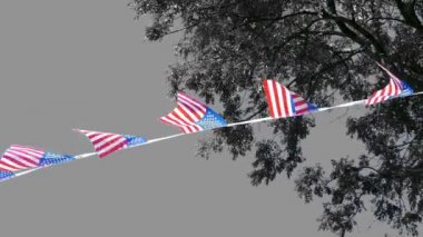 Monokrotik Vatanseverlik Üzerine Amerikan Bayrağı Rengi