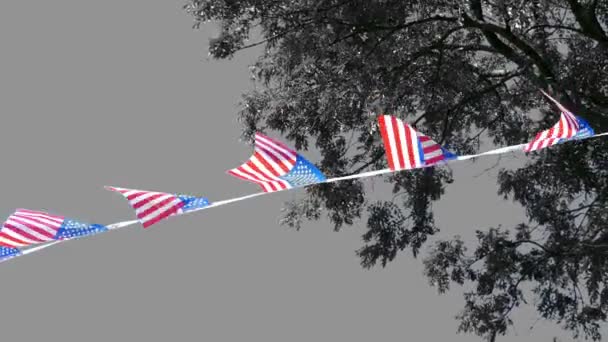 Bandeiras Americanas Cor Conceito Patriótico Monocromático — Vídeo de Stock