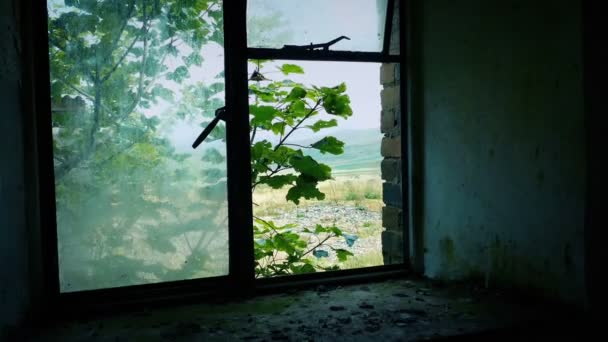 屋外有树的旧建筑的破碎窗户 — 图库视频影像