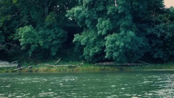 Passage Rive Rivière Avec Vieux Bateau Abandonné — Video