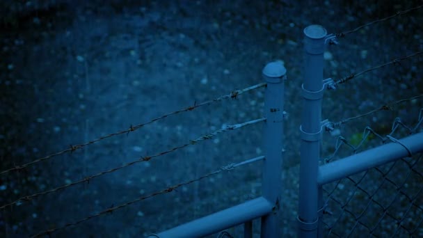 Gates Barbed Wire Evening — Stock Video