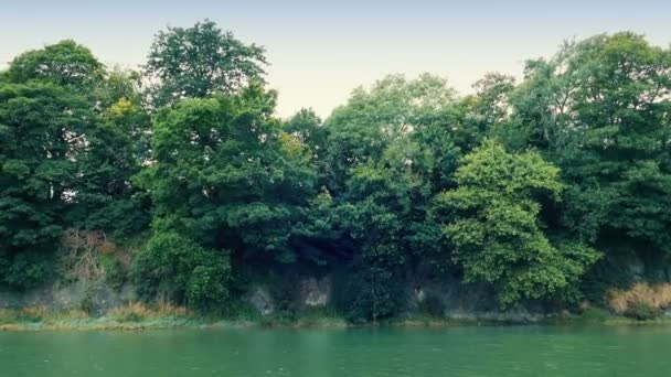 Río Vela Vista Lateral Orilla Del Río Los Árboles — Vídeo de stock