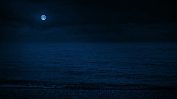 Широкий Пляжный Пейзаж Лунном Свете — стоковое видео