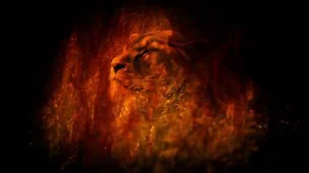 ライオンは目を輝かせて火の中を見上げる — ストック動画