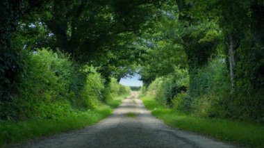 Rüzgarlı yaz gününde Güzel Ülke Yolu