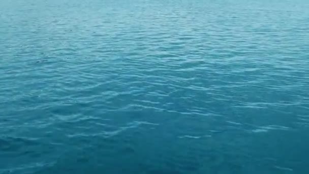 Moving Calm Sea Water — Stock Video