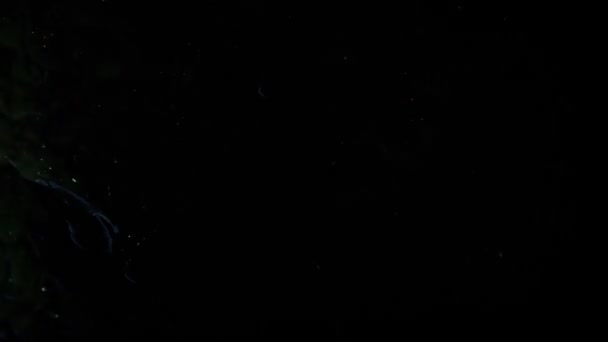 トーチビームライトアップスライミー エイリアンの壁 — ストック動画