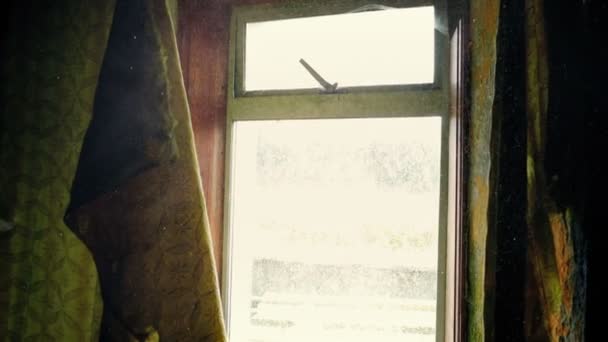 破败的老房子里的窗户和窗帘 — 图库视频影像
