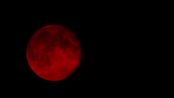 Blood moon — Stockvideo