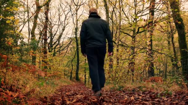 El hombre camina por el camino en el bosque — Vídeos de Stock