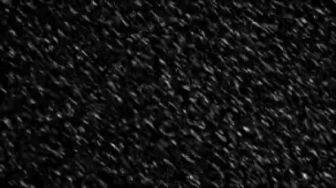 Şiddetli kar yağışı Blizzard siyah