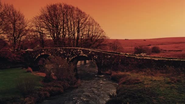 Voiture passe sur le pont au coucher du soleil — Video