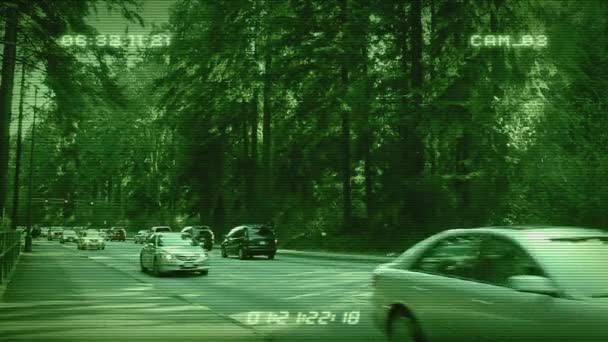 CCTV samochody w lesie — Wideo stockowe