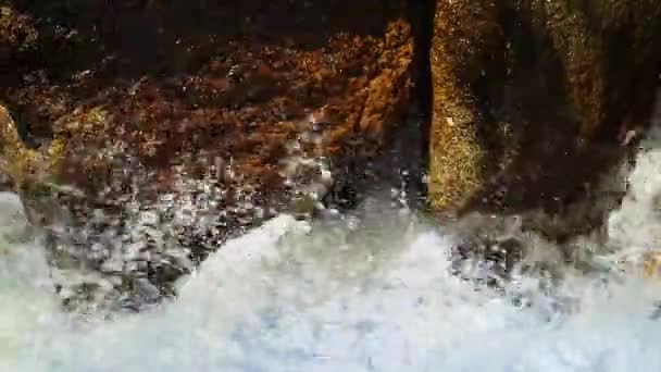 Schuimende rivierwater — Stockvideo