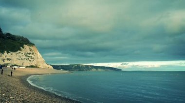 İnsanlar ve köpekler sahilde