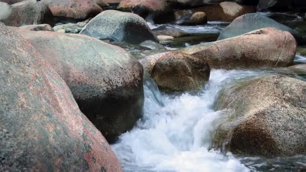 Rocas del río — Vídeo de stock