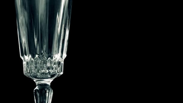 Champagner in elegantes Glas gegossen — Stockvideo