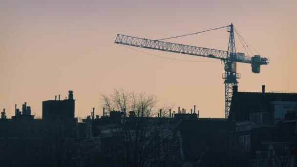 Ochtend Skyline vogels vliegen, kraan achter huizen — Stockvideo