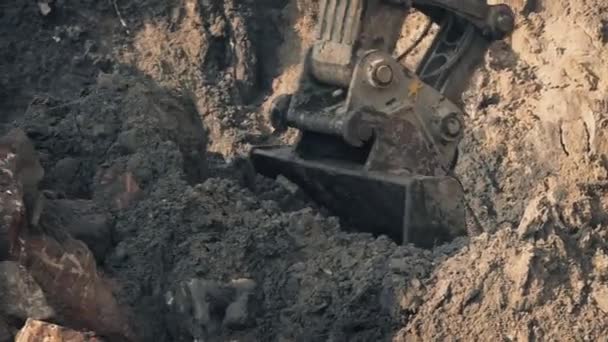 Pesada excavadora pala tierra en movimiento — Vídeo de stock