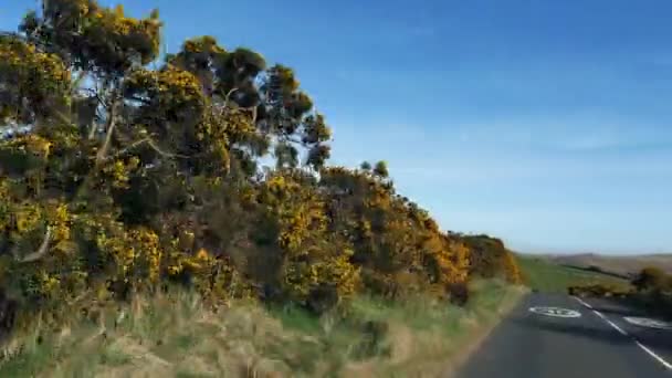 Conduire des murs et des haies passés à la campagne — Video