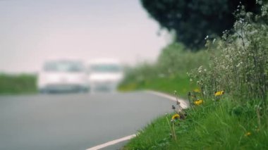 Arabalar geçerken ile yol kenarında çim