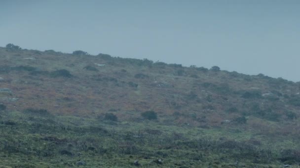 Regen zerstört zerklüftete Landschaft — Stockvideo