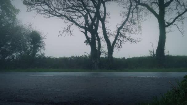 在雾和雨的乡村道路上的汽车 — 图库视频影像