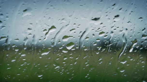 Ploaie pe fereastră uitându-se la natură — Videoclip de stoc