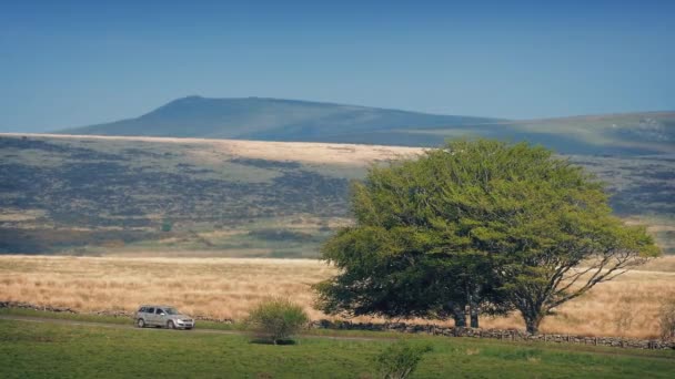 Voitures Sur La Route De Campagne Dans La Chaleur Chatoyante D'été — Video