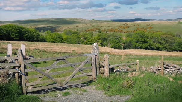 Puerta de madera al campo en el campo — Vídeos de Stock