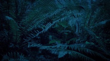 Karanlık Ormanda Eğreltiotu Düşük Açı Vuruşu