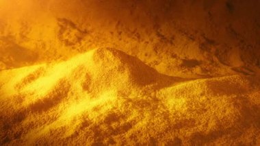 Altın Baharat Tozlu Parıltıyla