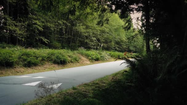 Allradfahrzeug fährt an dichtem Wald vorbei — Stockvideo