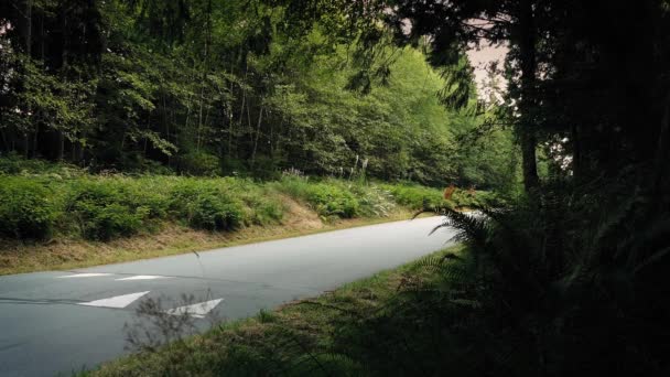 La voiture 4x4 conduit la forêt dense passée — Video