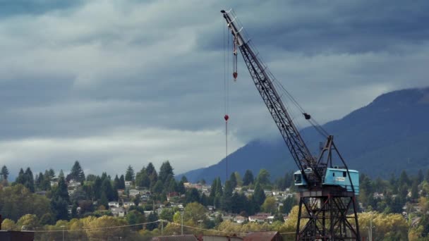 Pássaros voam perto do guindaste perto da cidade da montanha — Vídeo de Stock