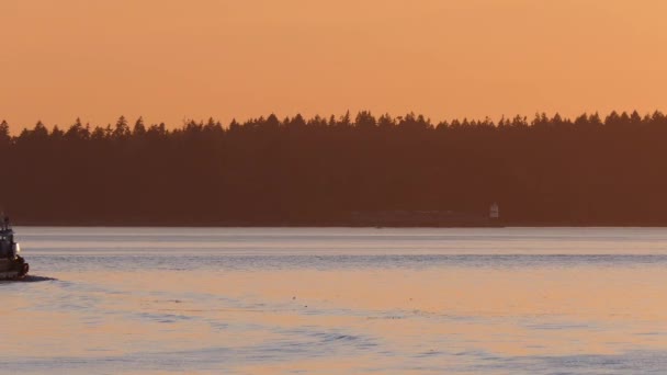 Barco chega à vista no pôr do sol Nova Escócia — Vídeo de Stock