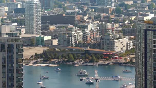Stadthafen mit Yachten in der Nähe von Straßen und Gebäuden — Stockvideo