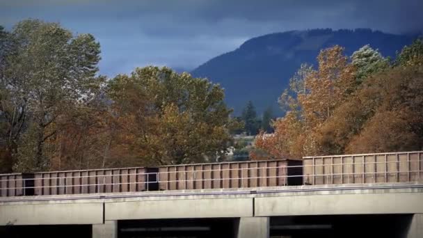 Az áruszállító vonatok halad fák, erős szélben — Stock videók