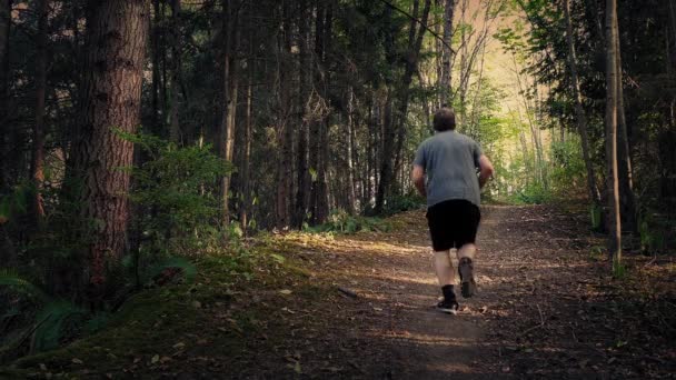 Joggerin läuft bei Sonnenuntergang bergauf durch den Wald — Stockvideo