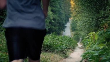 Günbatımı ormanı tozlu çakıl yoldaki adam kumsalda