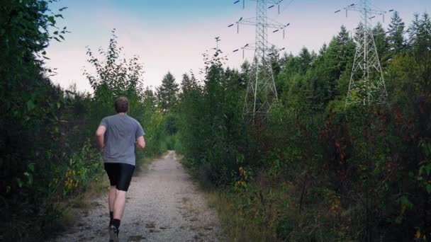 El hombre corre por el camino de grava en el bosque cerca de líneas eléctricas — Vídeos de Stock