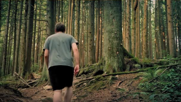 Hombre caminando por sendero rocoso a través del bosque — Vídeo de stock