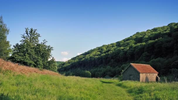 Ancienne grange en pierre dans la vallée herbeuse — Video