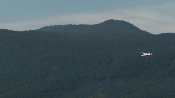 Des mouches d'hydravions dans la forêt de montagne 