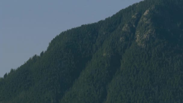 Klein vliegtuig vliegen langs beboste bergen — Stockvideo